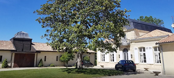 Château Deyrem Valentin